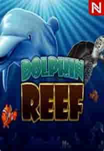 Dolphin Reef