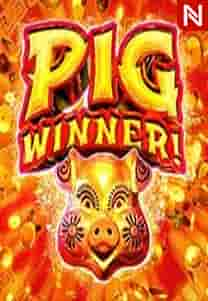 Pig Winner